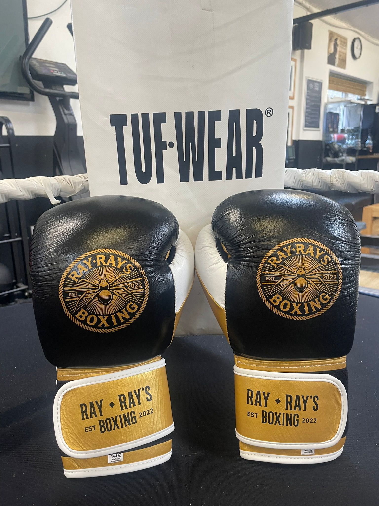 Ray Ray's Boxing gloves